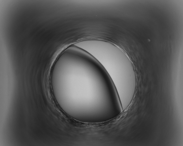 X0000086030289200703231001