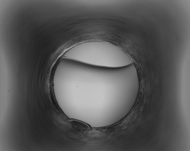 X0000086030290200703231001
