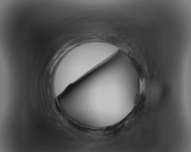 X0000086030291200703231001