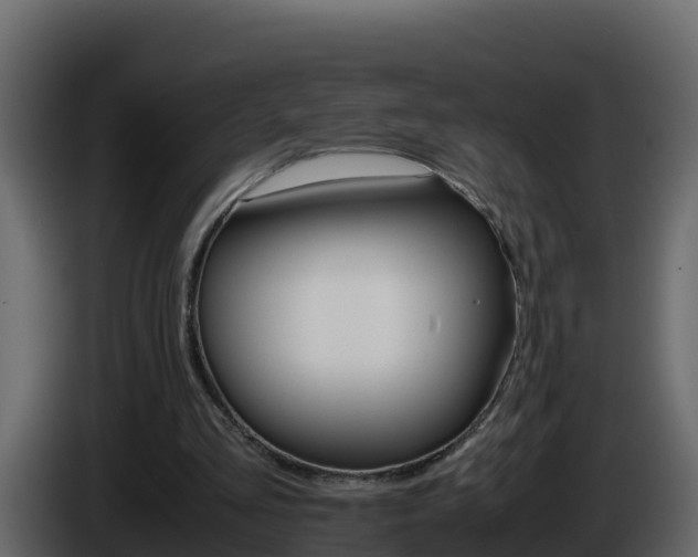 X0000086030293200703231001