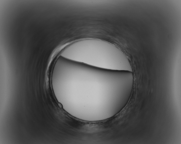 X0000086030294200703231001