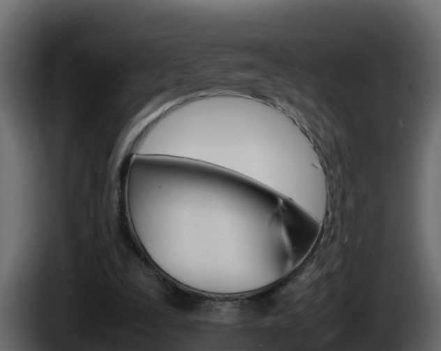 X0000086030295200703231001