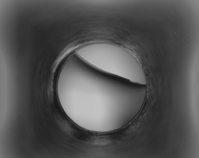 X0000086030296200703231001