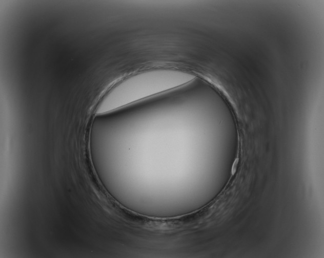 X0000086030297200703231001
