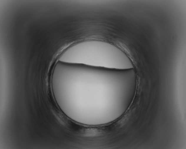 X0000086030298200703231001
