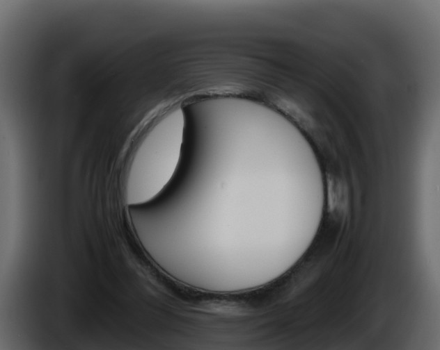 X0000086030300200703231000