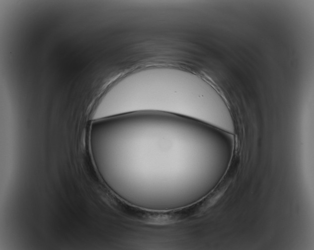X0000086030301200703231000