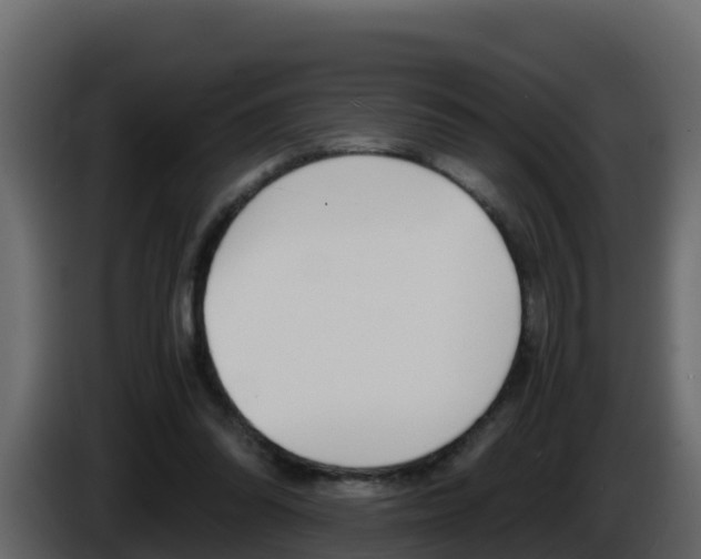 X0000086030302200703231000