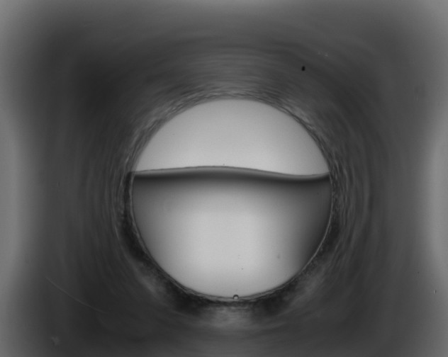 X0000086030303200703231000