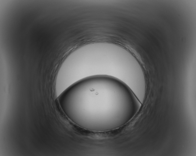 X0000086030305200703231000