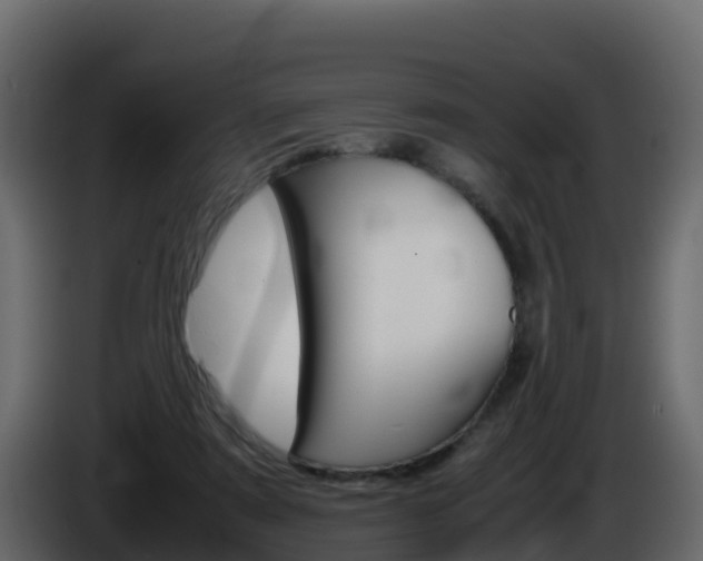 X0000086030307200703231000
