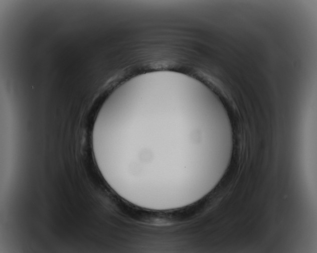 X0000086030308200703231000