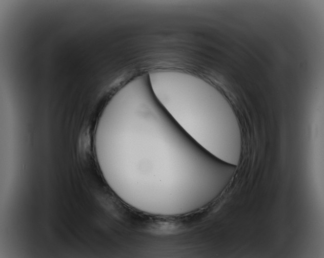 X0000086030310200703231000