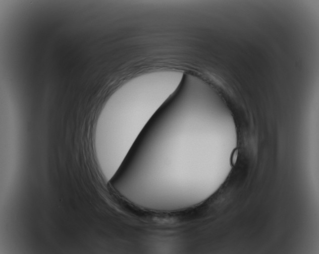 X0000086030311200703231000