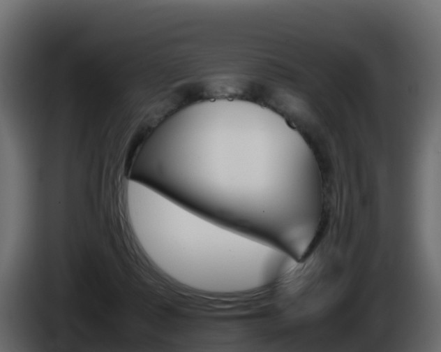 X0000086030315200703231000