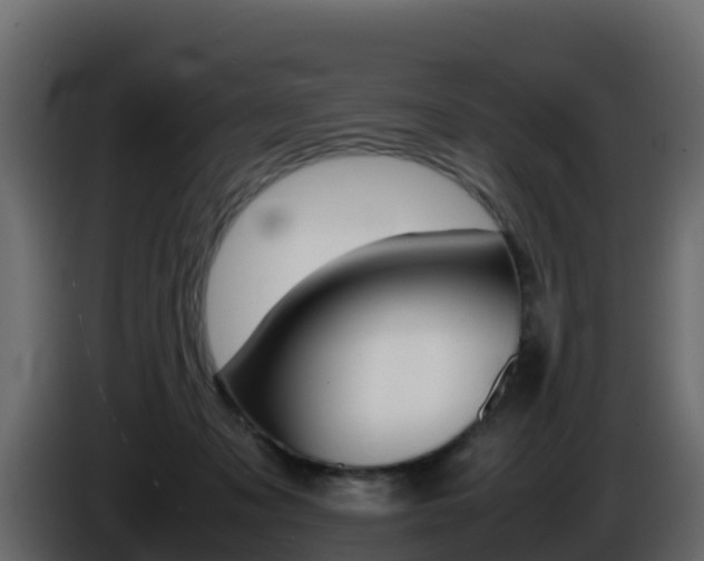 X0000086030317200703231000