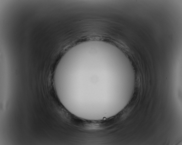 X0000086030318200703231000