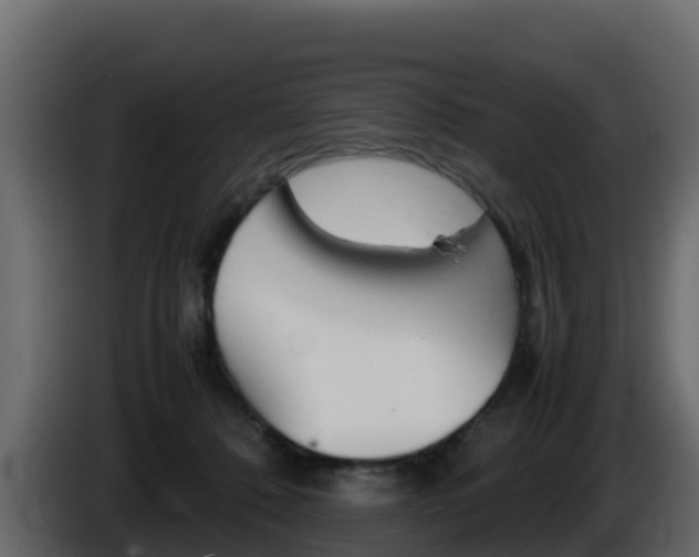 X0000086030320200703231000