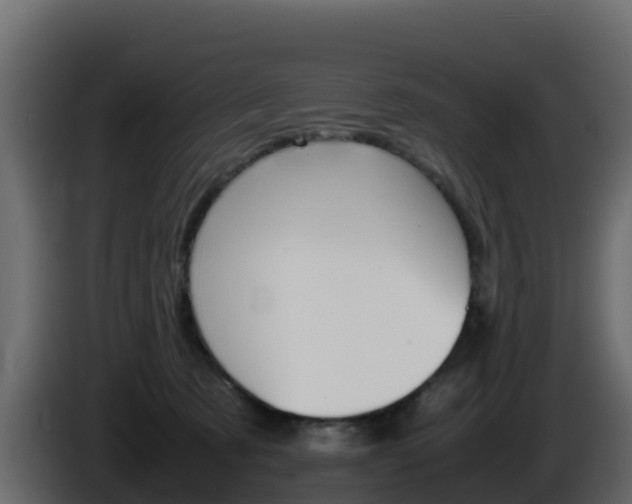 X0000086030321200703231000