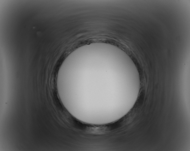 X0000086030323200703231000
