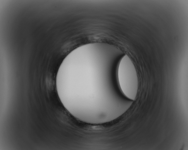 X0000086030324200703231000