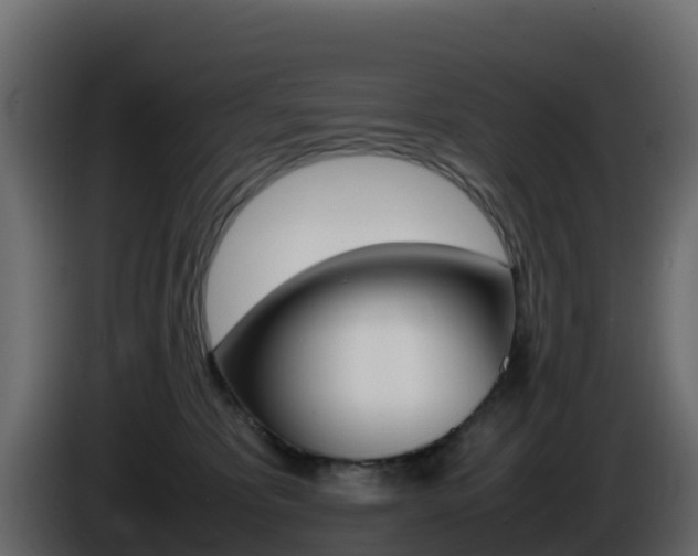 X0000086030325200703231000
