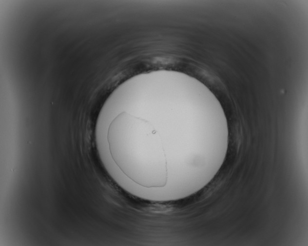 X0000086030328200703231000