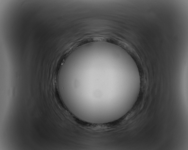 X0000086030329200703231000