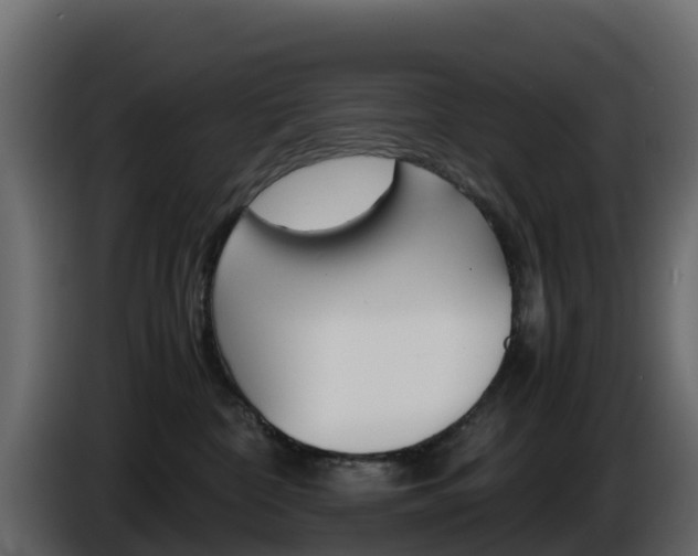 X0000086030332200703231000