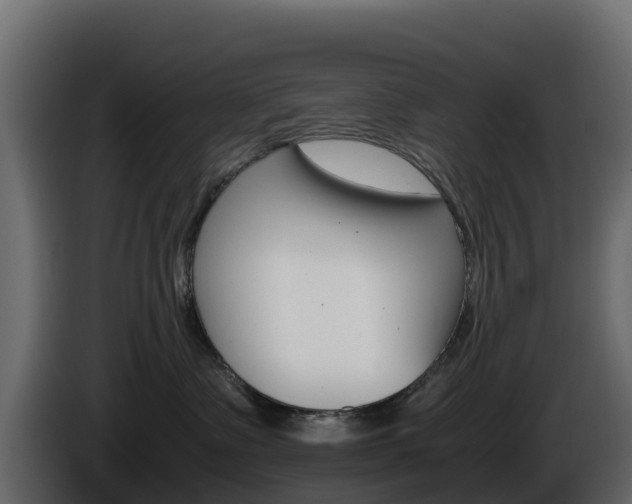 X0000086030335200703231000