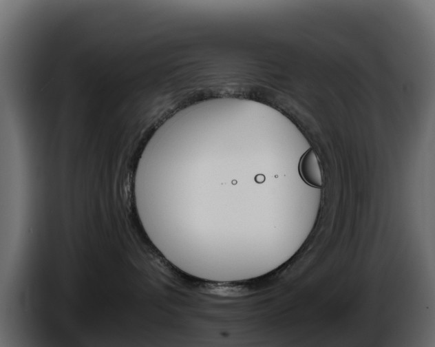 X0000086030336200703231000