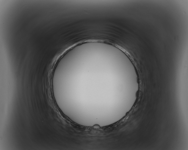 X0000086030337200703230959