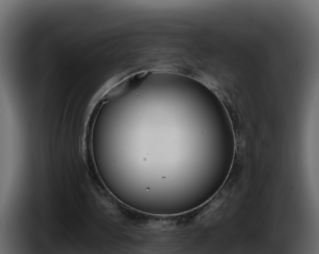 X0000086030340200703230959