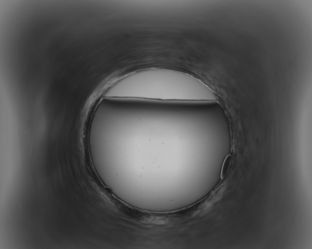 X0000086030341200703230959