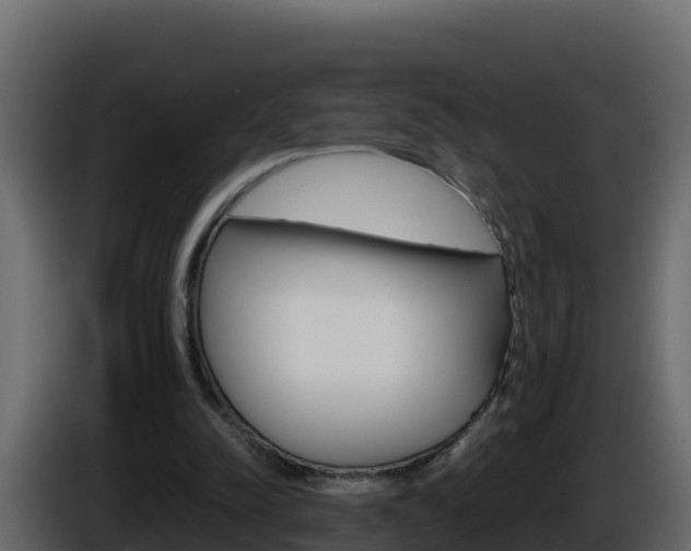 X0000086030342200703230959