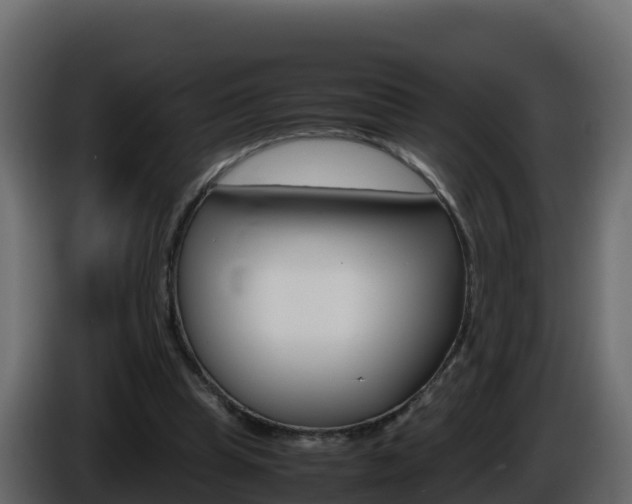 X0000086030345200703230959