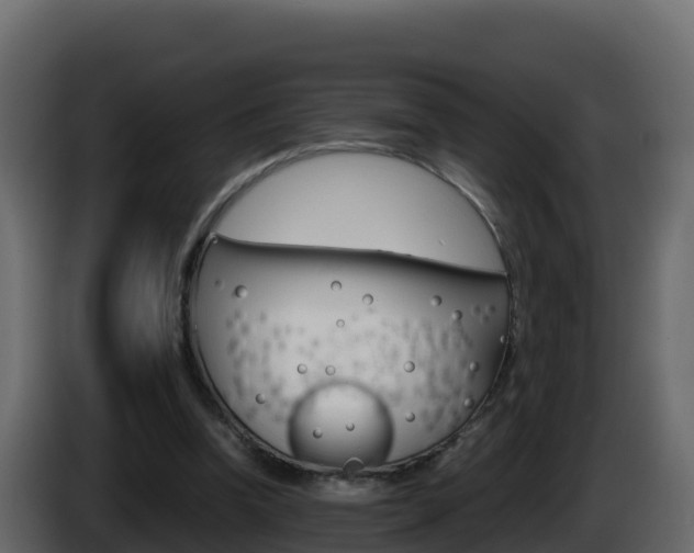 X0000086030346200703230959