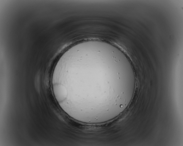 X0000086030347200703230959