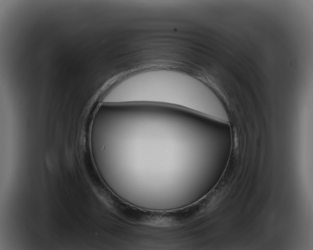 X0000086030348200703230959