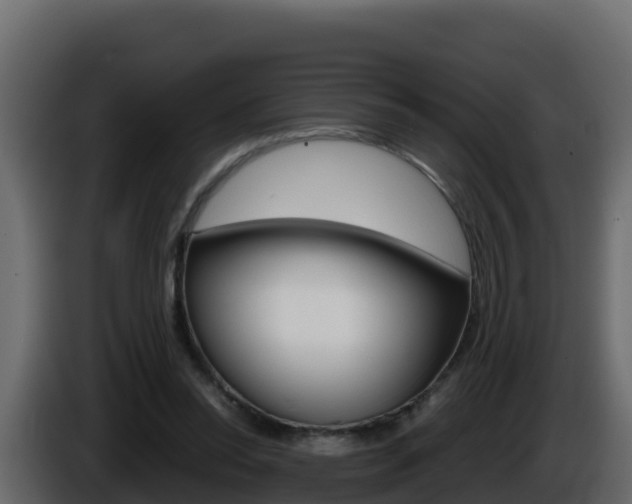 X0000086030350200703230959