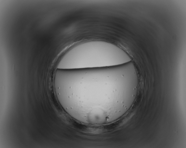 X0000086030351200703230959