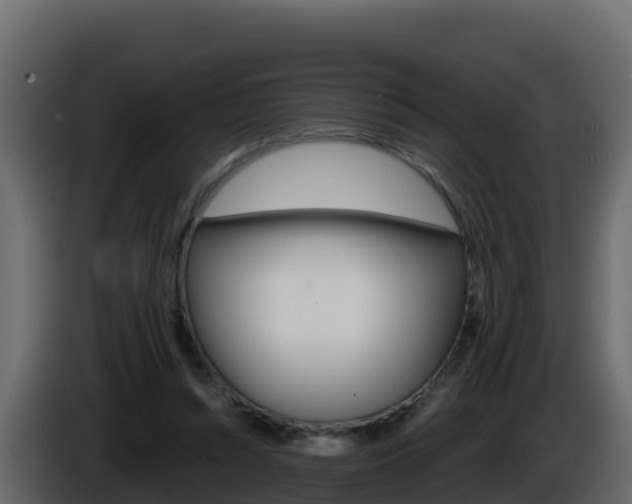 X0000086030352200703230959
