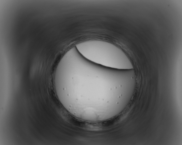 X0000086030359200703230959