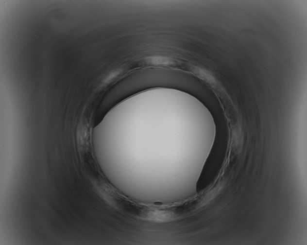 X0000086030360200703230959