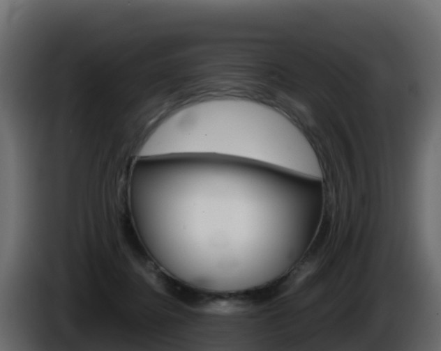 X0000086030364200703231000
