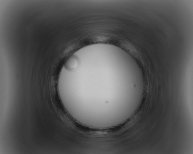 X0000086030366200703231000