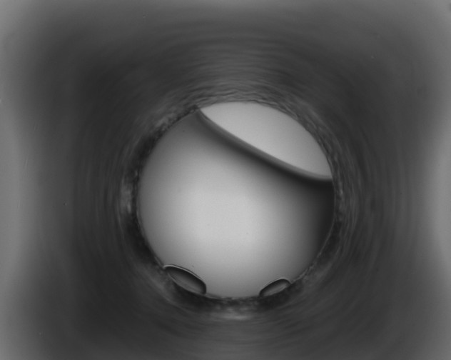 X0000086030368200703231000