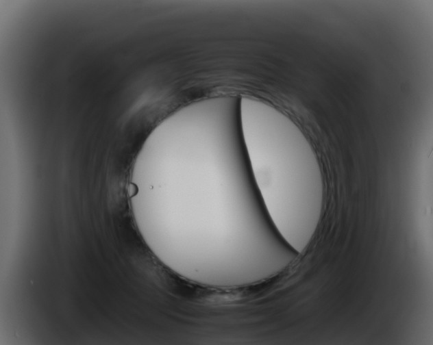 X0000086030369200703231000