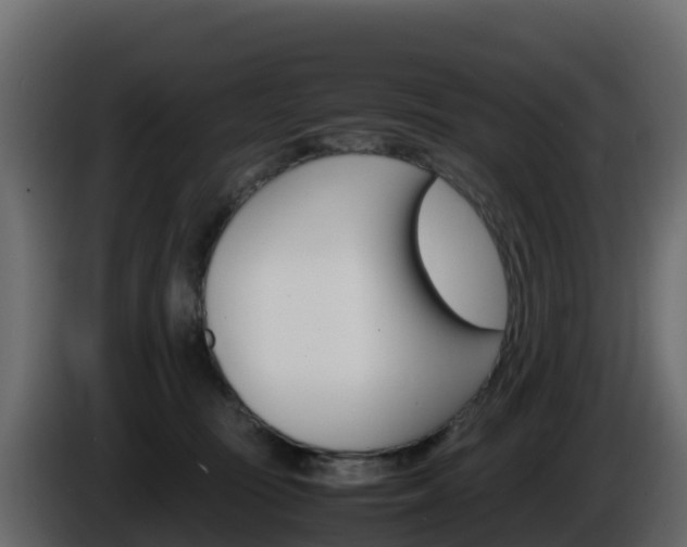 X0000086030371200703231000