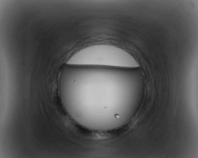 X0000086030372200703231000